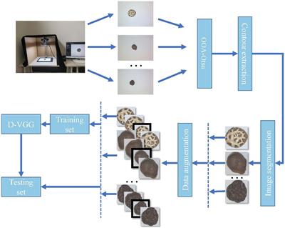 Dried shiitake mushroom grade recognition using D-VGG network and machine vision